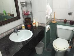 Hume Park II (D21), Condominium #78379612